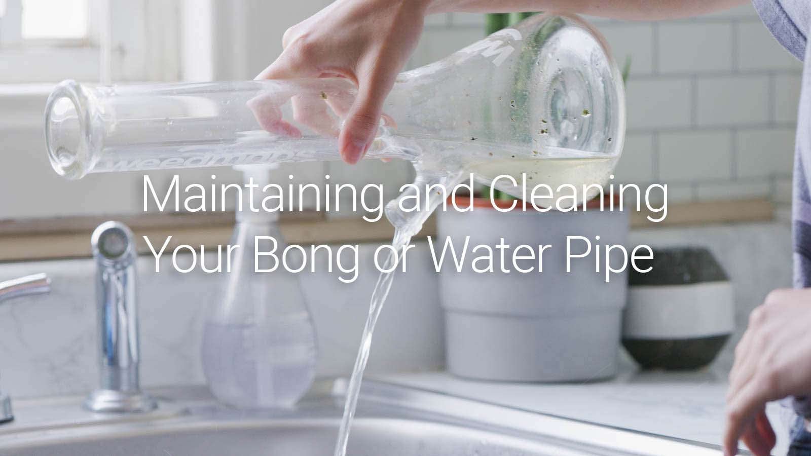 Maximize Your Bong's Flavor: A Guide to Proper Bong Cleaning – The DART  Company