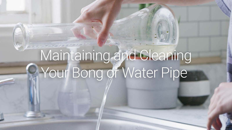 How to: Maintaining and Cleaning Your Bong or Water Pipe (Ultimate Guide)
