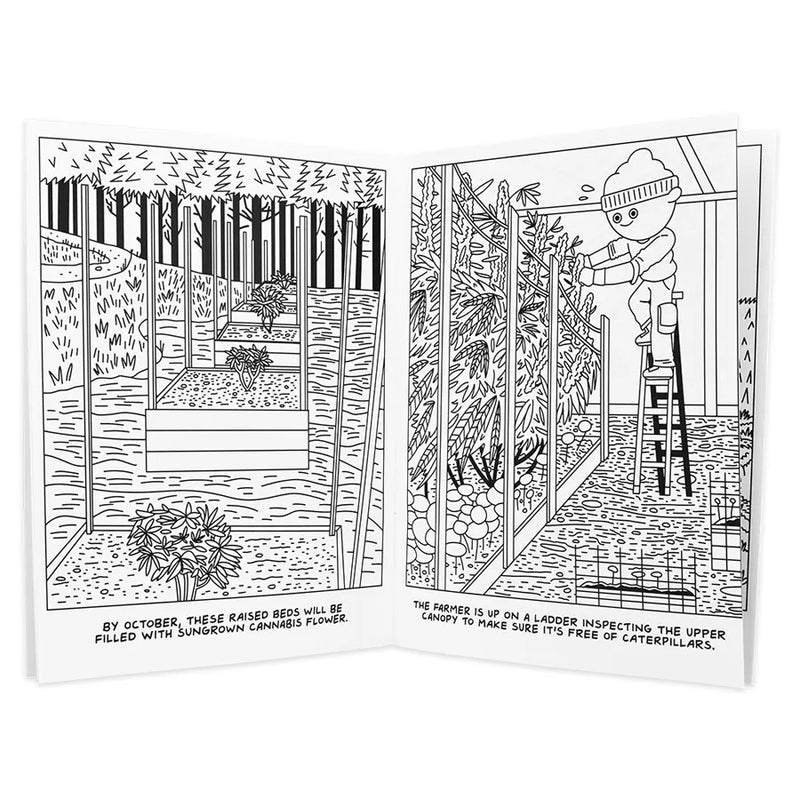 Wood Rocket - A Visit To The Hemp Farm - Adult Coloring Book - 8.5" x 11"