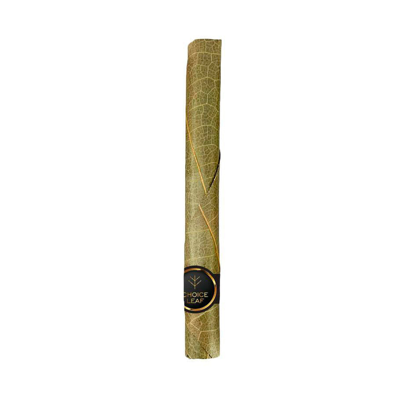 Choice Leaf Palm - Large - Pre-Rolled Cones 1